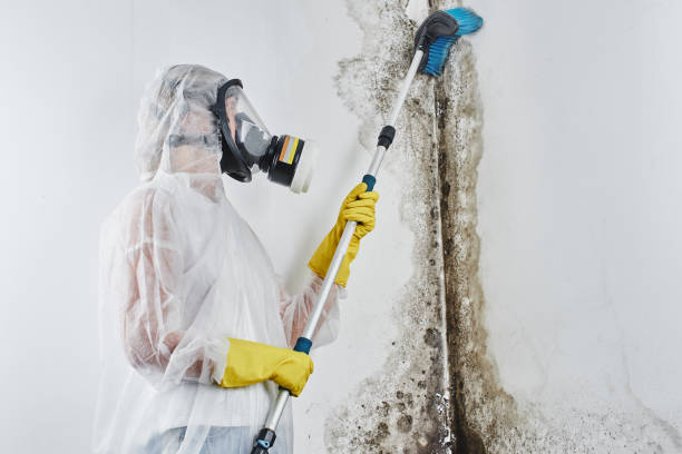 Best Mold Testing  in Marks, MS