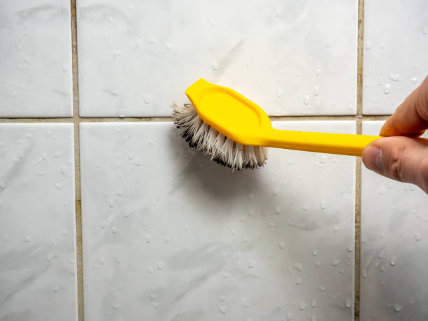  Marks, MS Mold Removal Pros