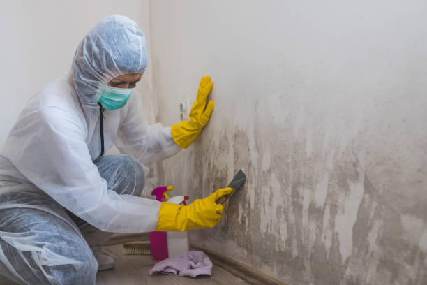 Best Mold Testing  in Marks, MS