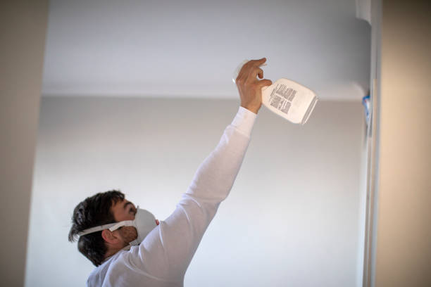 Best Attic Mold Removal  in Marks, MS