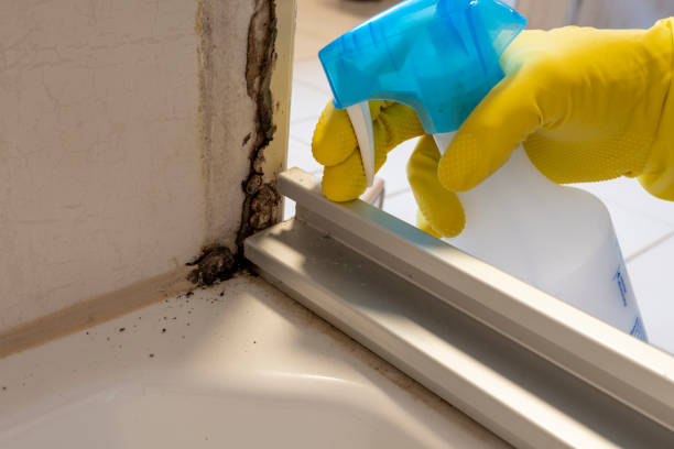 Best Professional Mold Removal  in Marks, MS