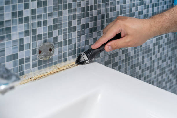 Best Mold Remediation  in Marks, MS