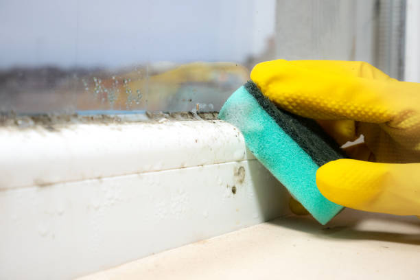 Best Emergency Mold Removal  in Marks, MS