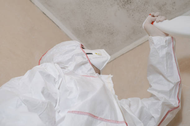 Best Fast Mold Removal  in Marks, MS