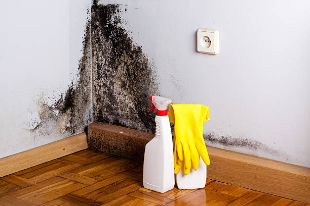 Marks, MS Mold Removal Company